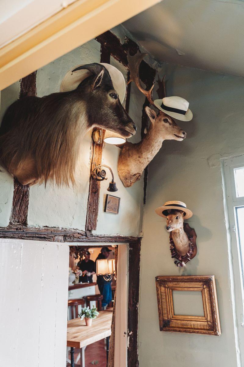 a.DEER ENTRANCE MAIN IMAGE.jpg